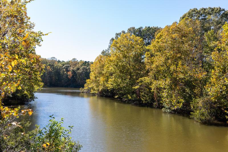 Mississippi River bluffs near Natchez